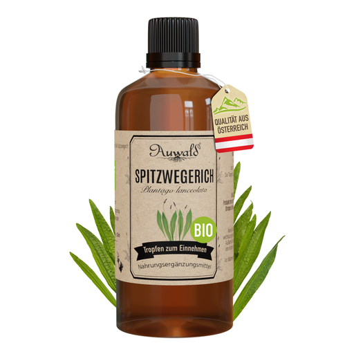 Spitzwegerich Tinktur BIO 100ml (Spitzwegerich Extrakt)