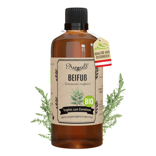 Beifuß Tinktur BIO 100ml (Beifuß Extrakt)