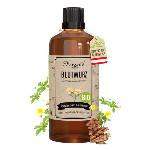 Blutwurz Tinktur BIO 100ml (Blutwurz Extrakt)