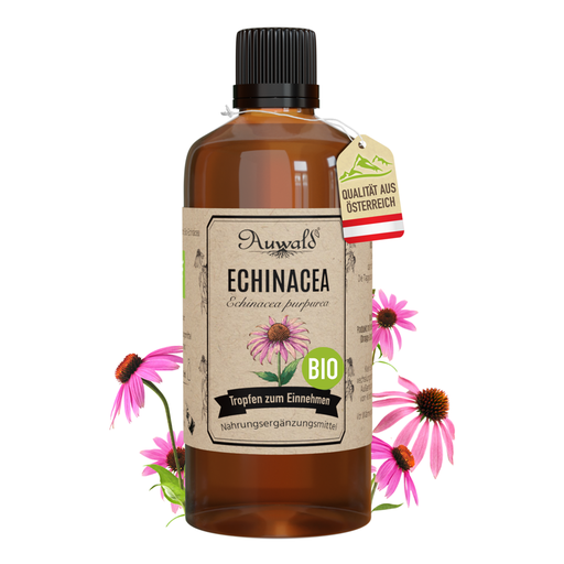 Echinacea Tinktur BIO 100ml (Echinacea Extrakt)