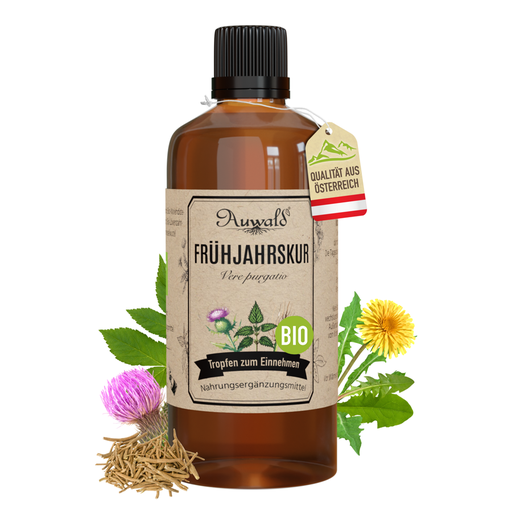 Frühjahrskur Tinktur BIO 100ml (Kräuterkur)