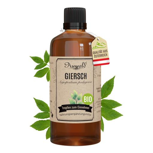 Giersch Tinktur BIO 100ml (Giersch Extrakt)