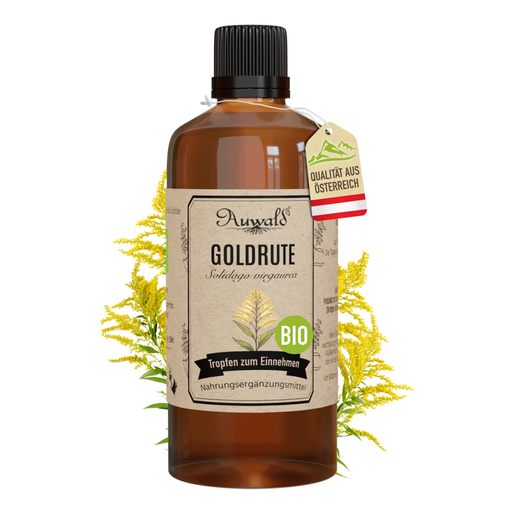 Goldrute Tinktur BIO 100ml (Goldrute Extrakt)