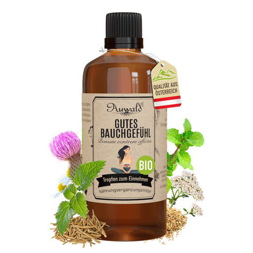 Gutes Bauchgefühl Tinktur BIO 100ml
