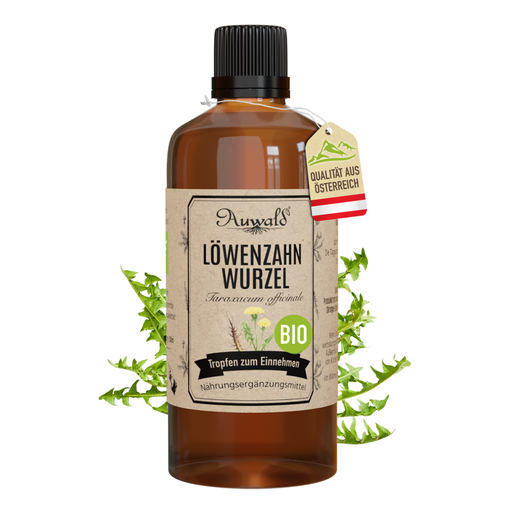 Löwenzahnwurzel Tinktur BIO 100ml (Löwenzahn Extrakt)